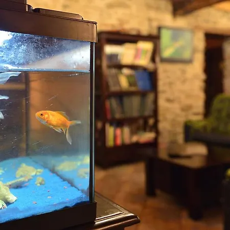 Maison d'hôtes Zulueta Azcoitia